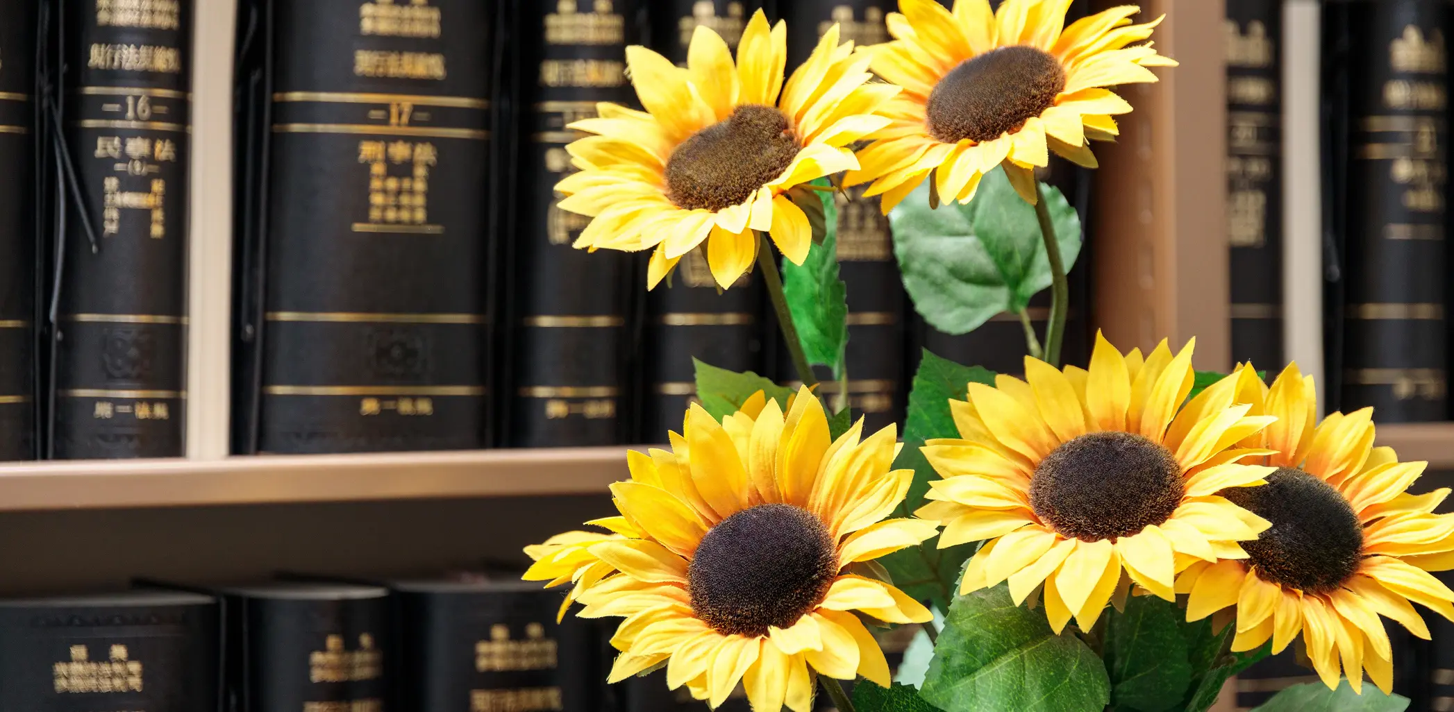 太陽綜合法律事務所のメインビジュアル：ひまわりと法律書