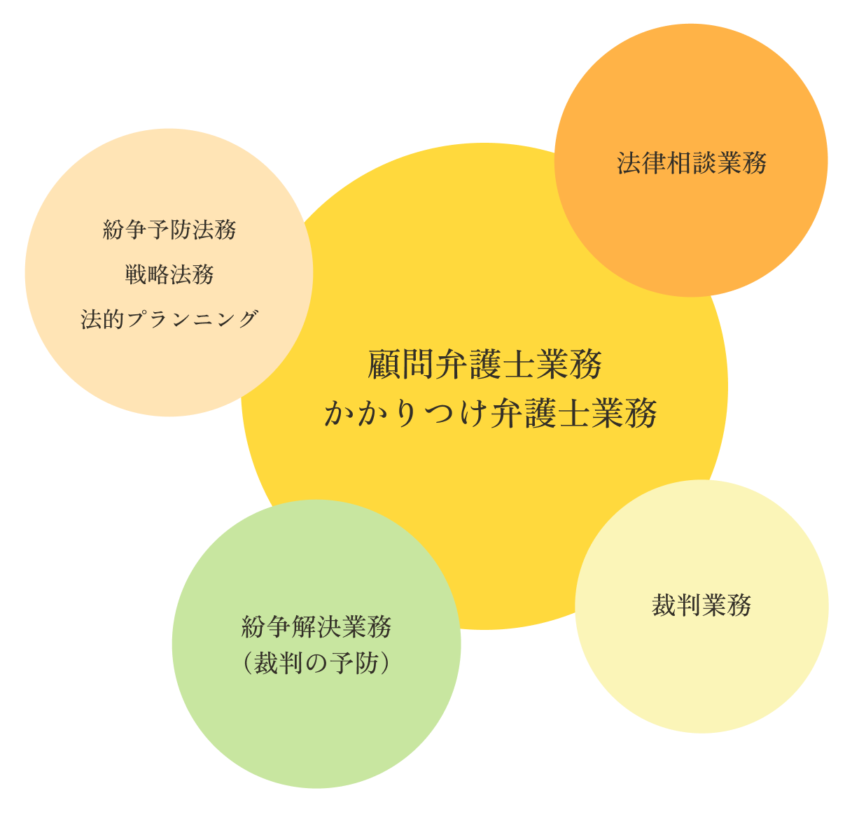 顧問弁護士業務・かかりつけ弁護士業務を中心に、法律相談業務、紛争予防法務・戦略法務・法的プランニング、紛争解決業務（裁判の予防）、裁判業務を行っています。